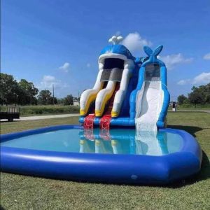 blue whale waterslide (19t 18w 29l)